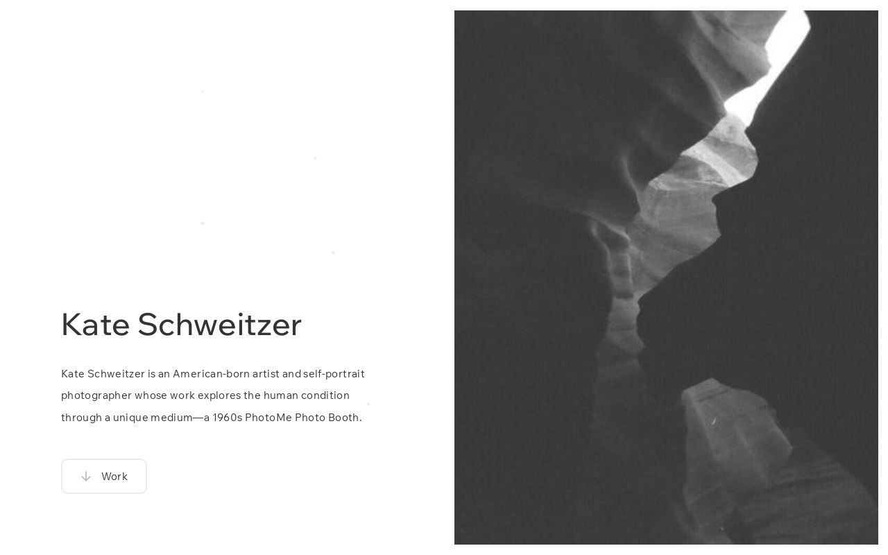 Kate Schweitzer logo